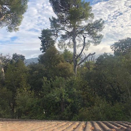 Les Magnolias Bed & Breakfast Marsilya Dış mekan fotoğraf